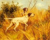 托马斯 布林克斯 : Two Pointers In A Landscape